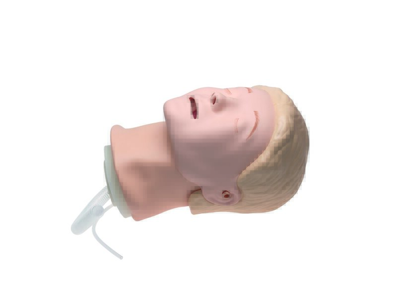 Hoved til SkillGuide