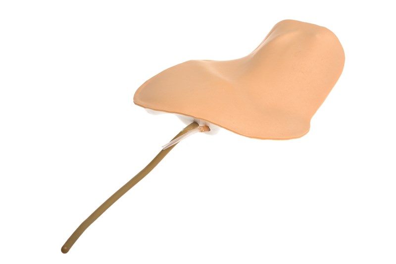 Udskiftningspude hals/subclavia